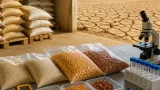 BPOM perkuat pengawasan pangan nasional menghadapi risiko El Niño