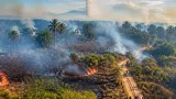 BNPB telaah asal api karhutla di Taman Nasional Way Kambas